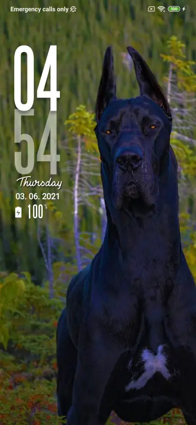 Dog si - Screenshot 1