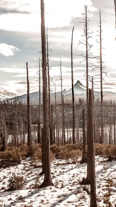 daily_scenery (13) - Screenshot 1