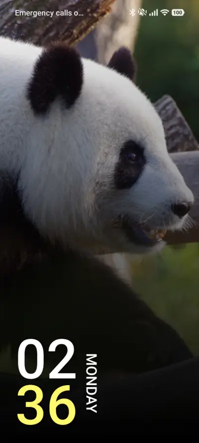 Bamboo King - Screenshot 1