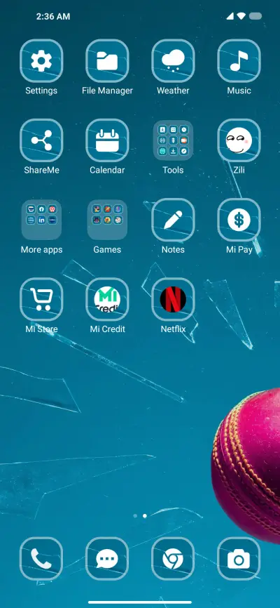 Cricket Records - Screenshot 3