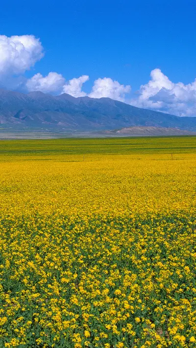 田野 - Screenshot 1