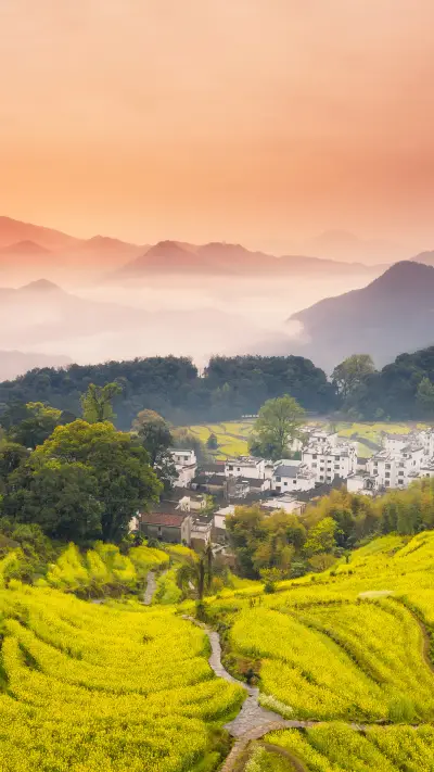 During qingming festival greetings are not allowed