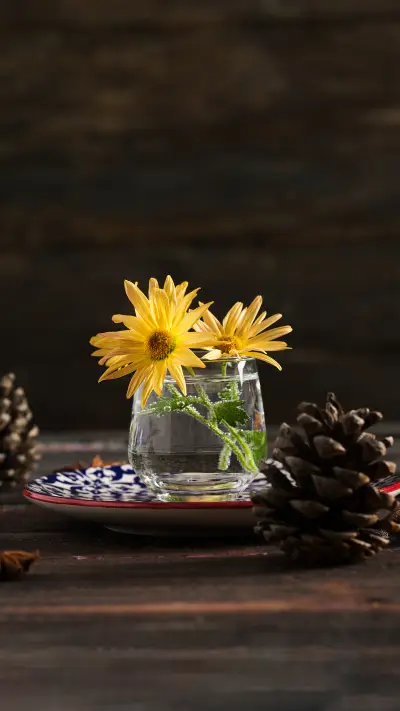 How to prolong the life of flowers in bottle 7