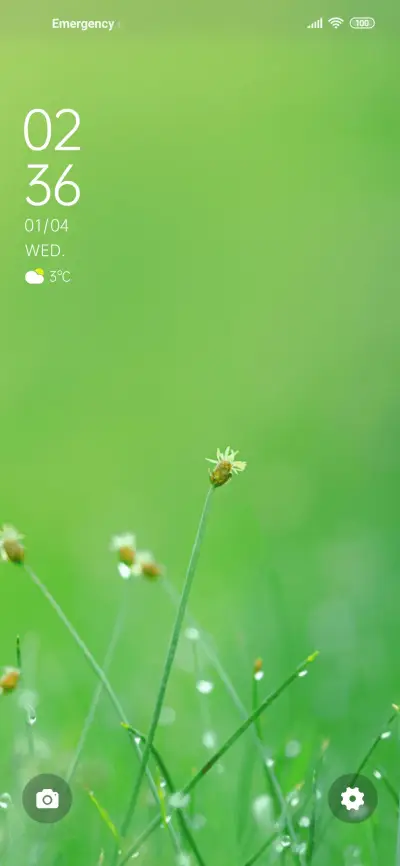 Spring spring - Screenshot 1