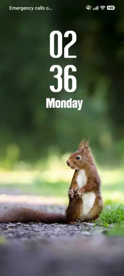 Squirrel - Screenshot 1