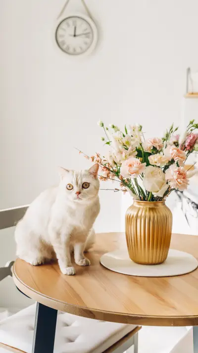 Enjoy a happy afternoon - Screenshot 1