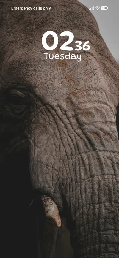 Wrinkle Majesty THEME for Xiaomi MIUI HyperOS