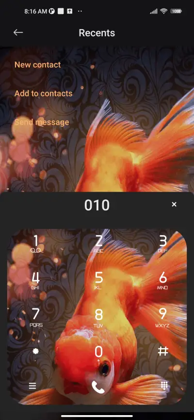 Golden scale - Screenshot 6