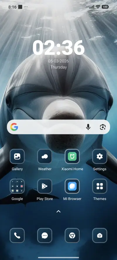 Dolphin - Screenshot 2