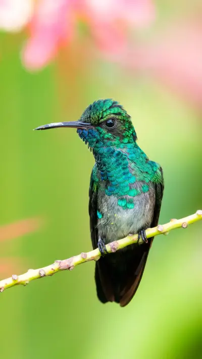 VCG41N1222096112 - Screenshot 1