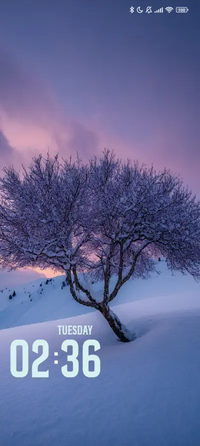 Snow Tree