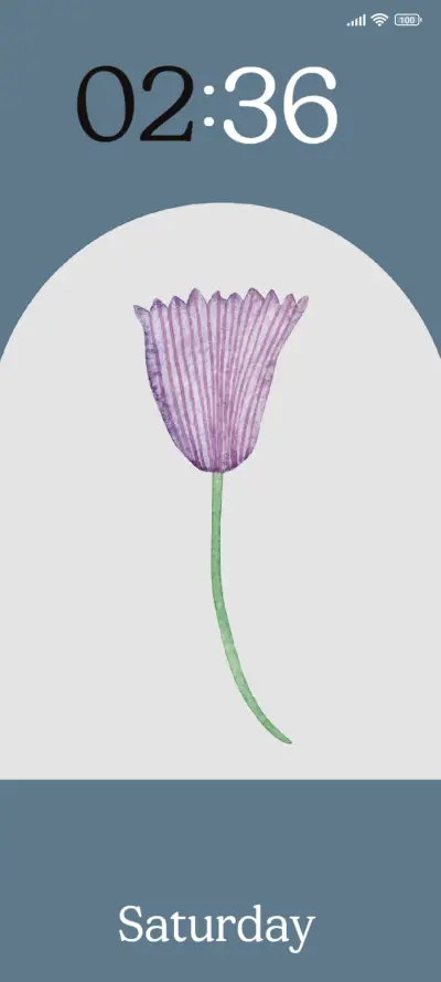 Tulip