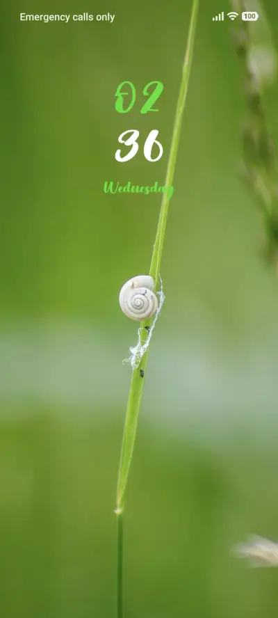 White Snail