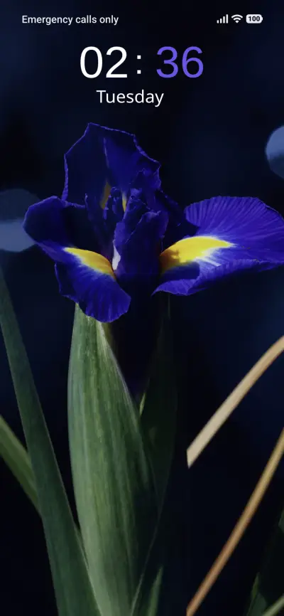 Iris Dream - Screenshot 1