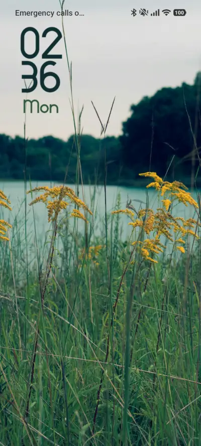 Green Mirage - Screenshot 1