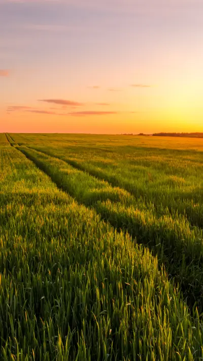 beautiful wallpaper-06