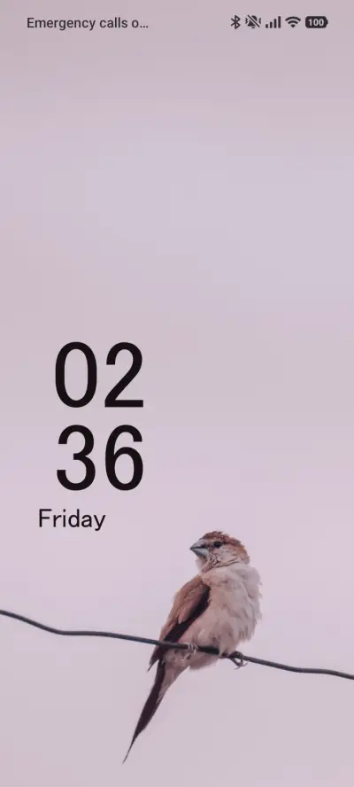 Bird Perched - Screenshot 1