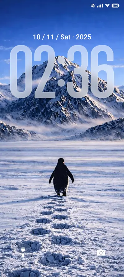 Lone Penguin