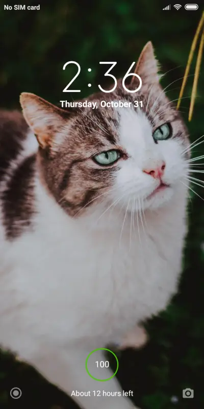 Official MIUI Theme_21