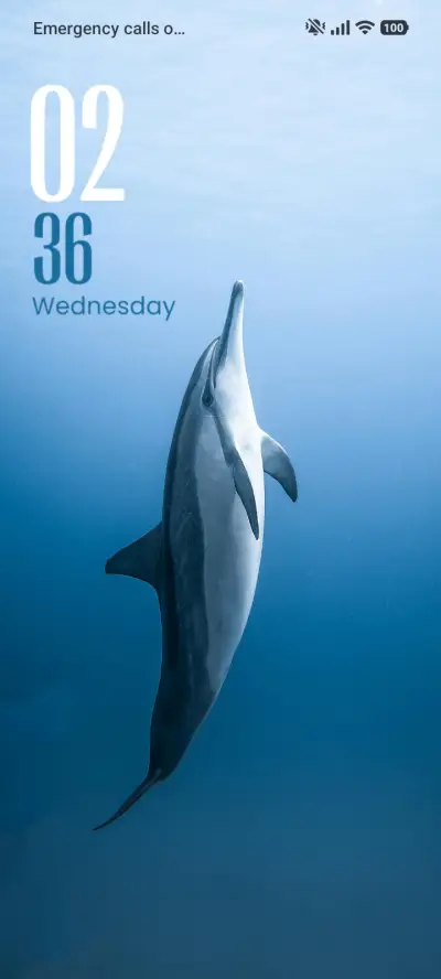 Dolphin - Screenshot 1