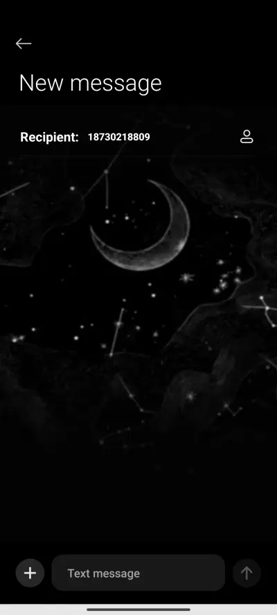 Classic gray - Screenshot 9