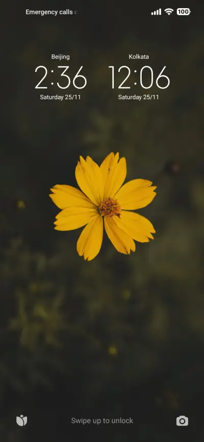 BULB