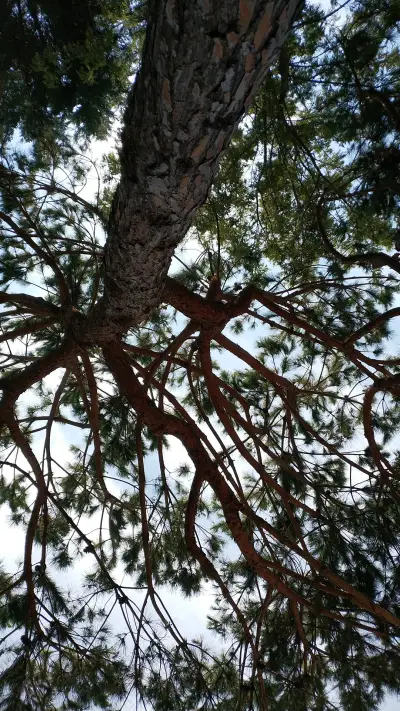 landing-1751 - Screenshot 1