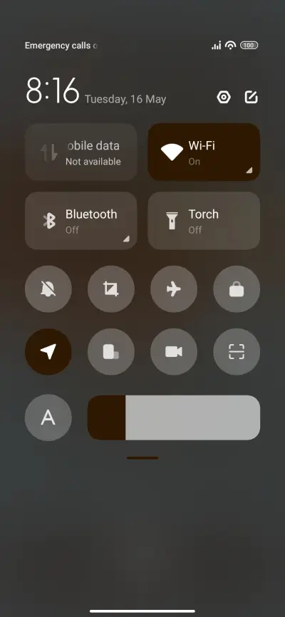Fern Leaves - Screenshot 5