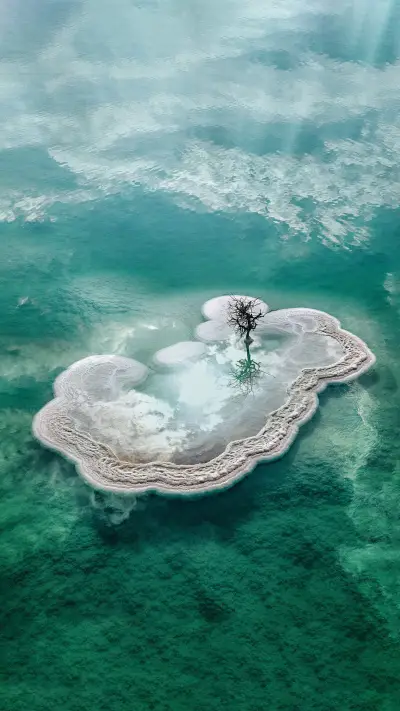 Why doesnt it sink in the dead sea