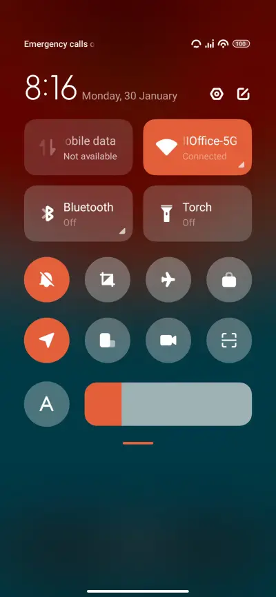Flower - Screenshot 5