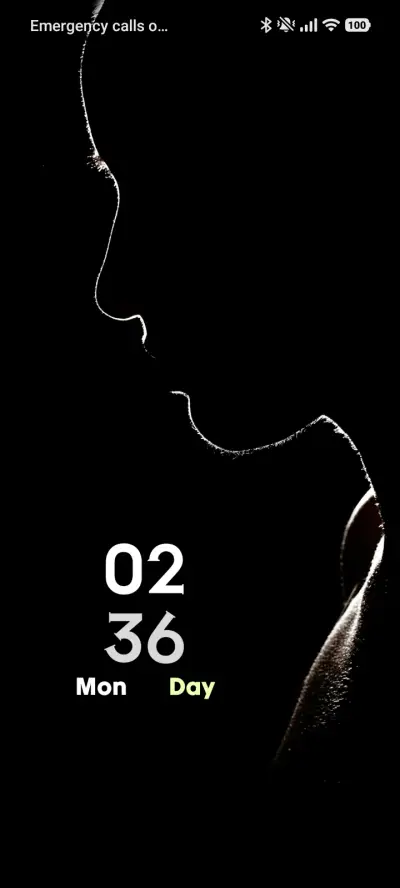 Silent Shade - Screenshot 1