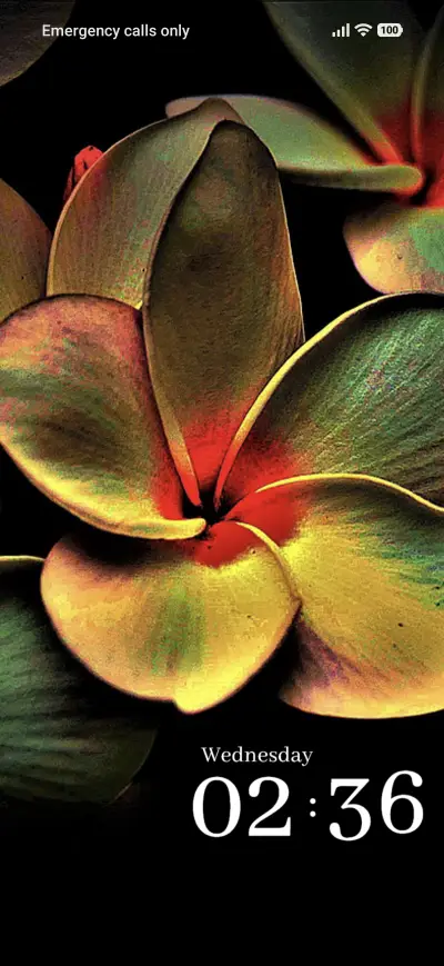 Floral Art THEME for Xiaomi MIUI HyperOS