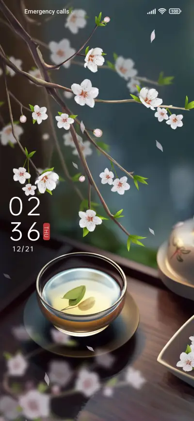 Zen+Rhyme - Screenshot 1