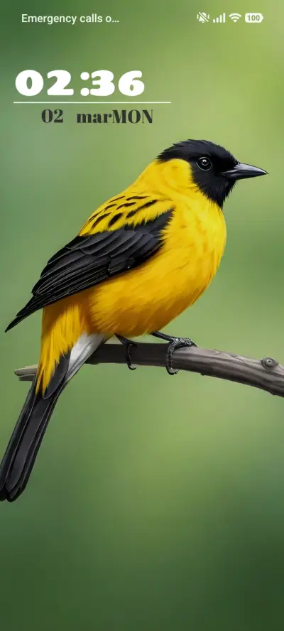 Bird Feathers - Screenshot 1