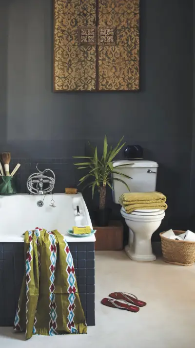 Selected toilet plastic surgery