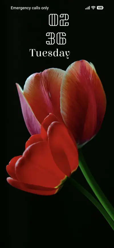 Velvet Tulip THEME for Xiaomi MIUI HyperOS