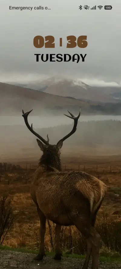 Hill Deer - Screenshot 1