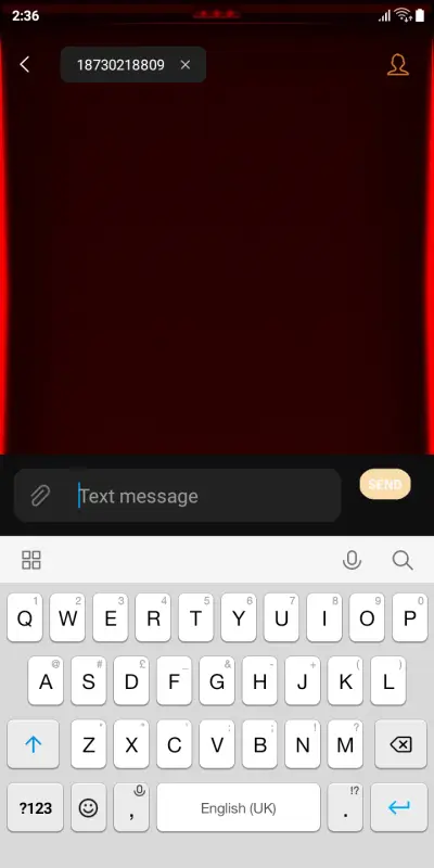 S_Red_DWM19 - Screenshot 7