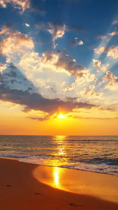 Summer sunset by the sea