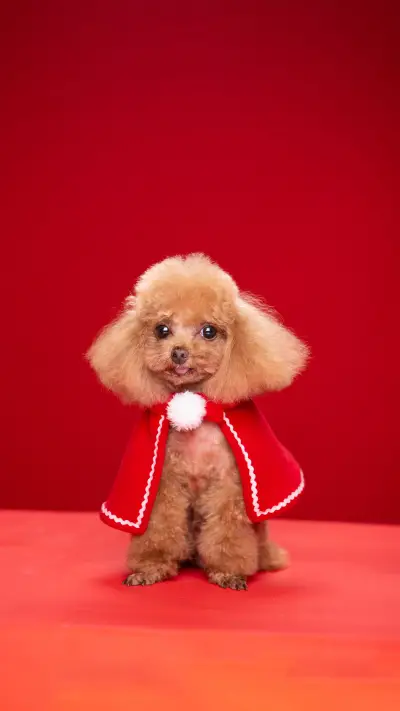 Dogs distress signal 2