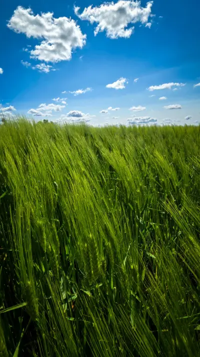 Landscape beauty of Latvia