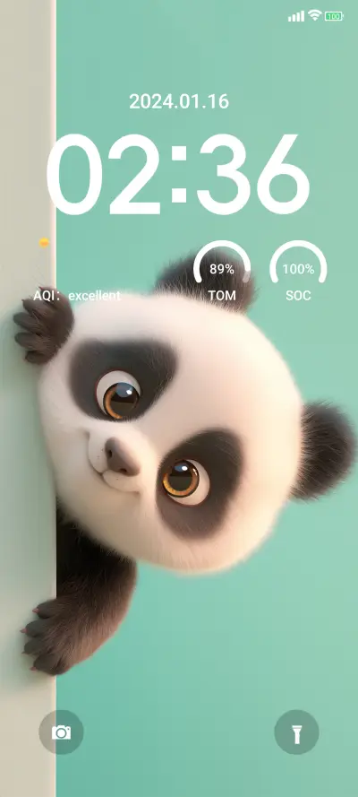 cute panda
