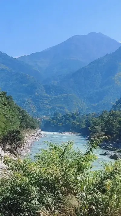 Summit, Stream, and Forest