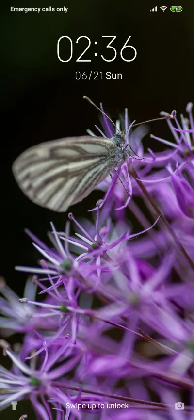 Purple Flower_3MDS - Screenshot 1