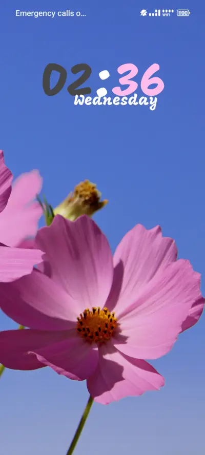 Cosmos Flower - Screenshot 1