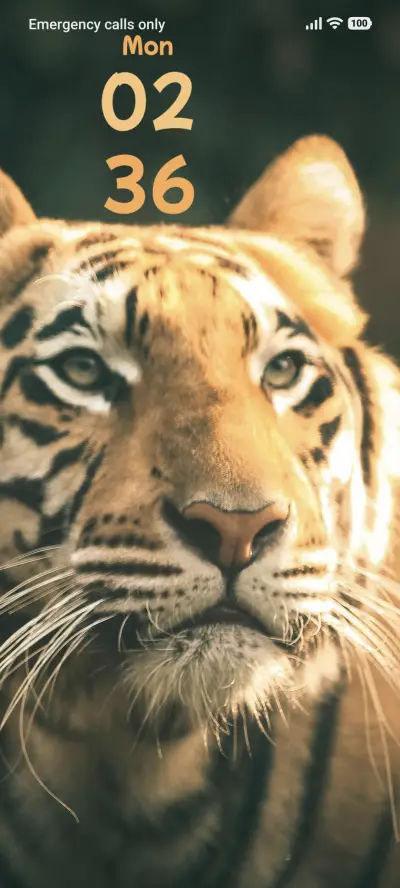 Tiger - Screenshot 1