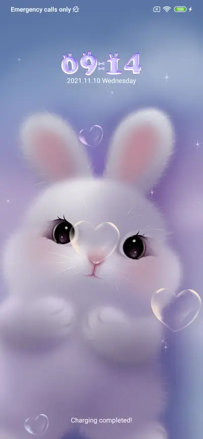My cute rabbit