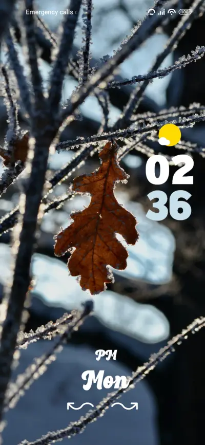 Oaktree - Screenshot 1