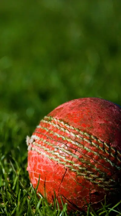 Aesthetic (16) - Screenshot 1