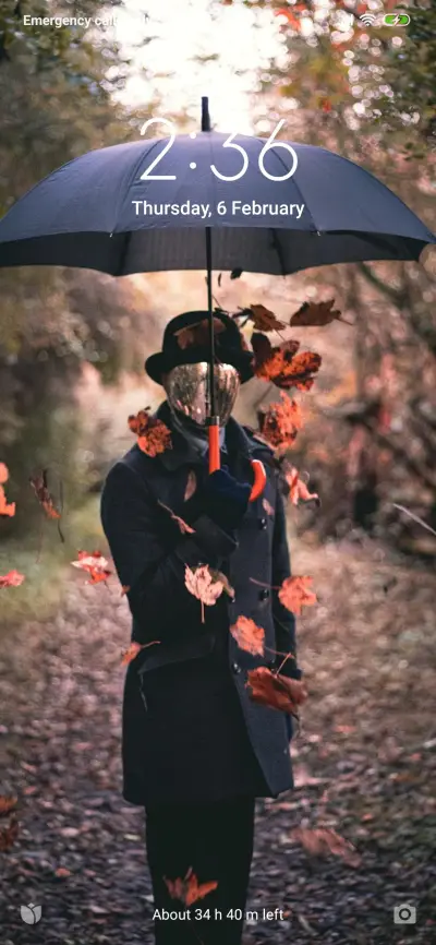 Official MIUI Theme_49